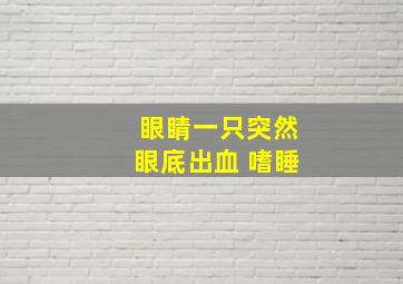 眼睛一只突然眼底出血 嗜睡